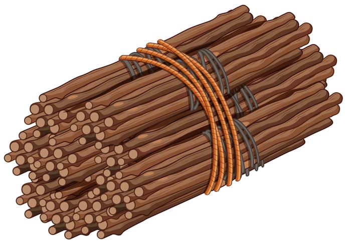 Wooden sticks in big bundle vector