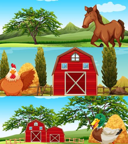 Animales de granja en la granja vector