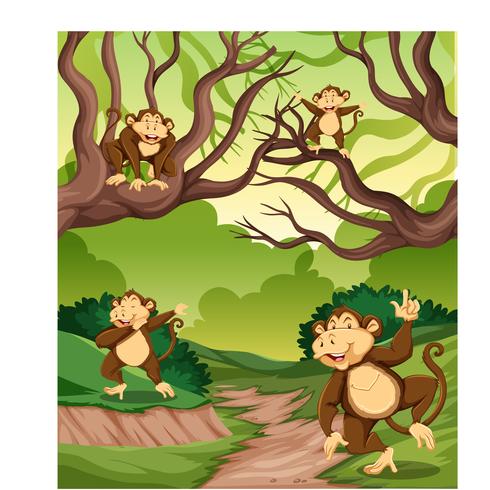 Monkey in the wild forest - Download Free Vector Art, Stock Graphics & Images