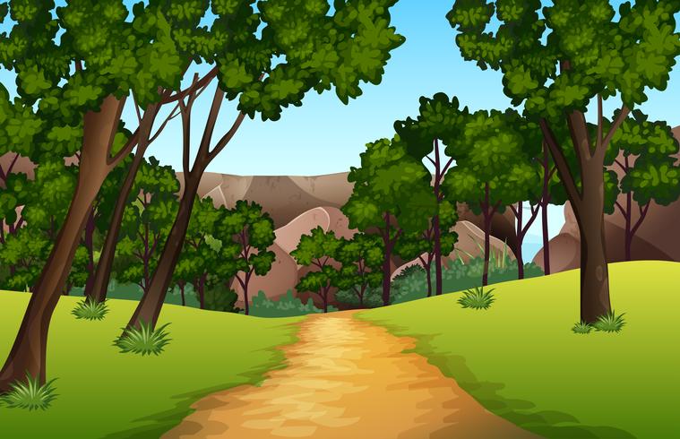 Forest pathway landscape scene vector