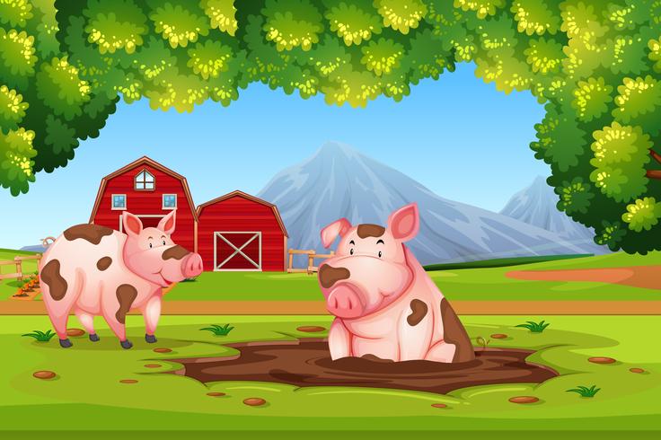 Pig in nature farm vector