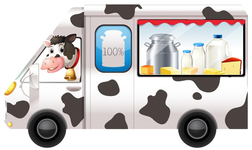 Dairy cow in a truck vector