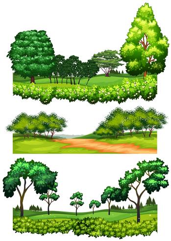 Escenas de naturaleza con arboles y campos. vector