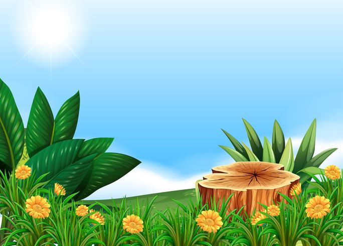 Scene with stump tree in flower field vector