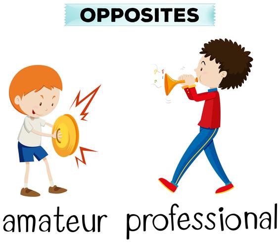 Opposite words for amateur and professional 298101 Vector Art at Vecteezy