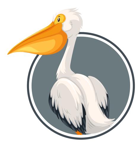 Pelican en banner círculo vector