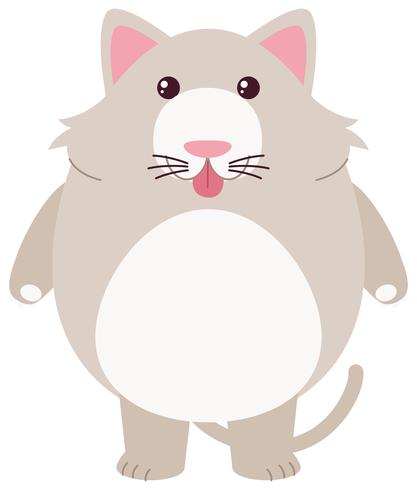 Gray cat with silly face vector