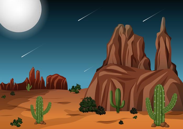 Desert at night time scene vector