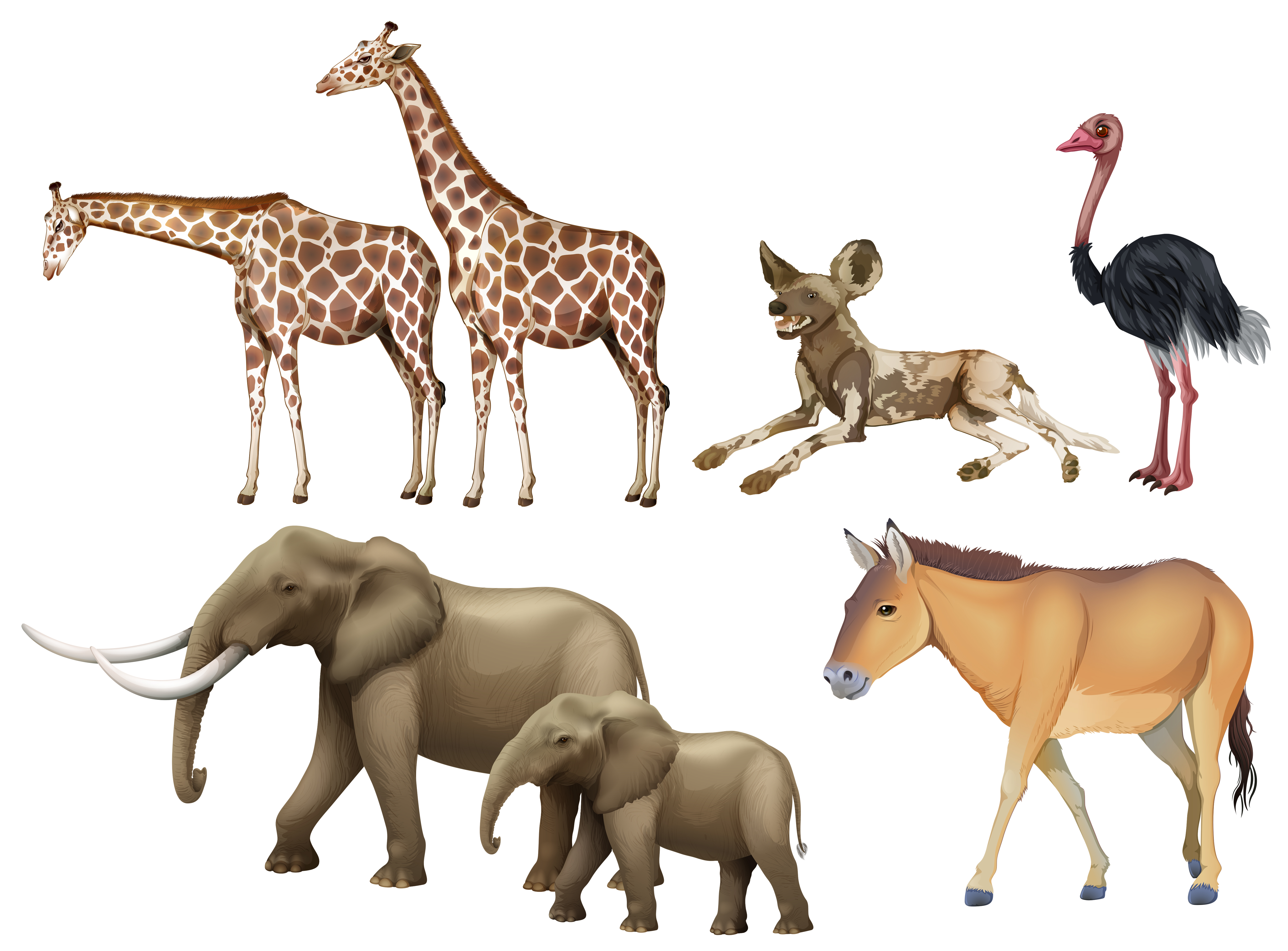 Five types of wild animals 298232 Vector Art at Vecteezy