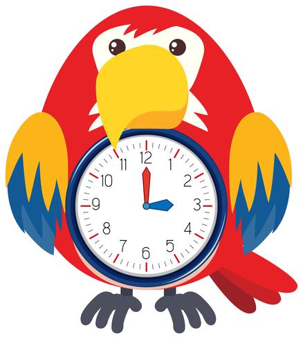 A bird clock on white background vector