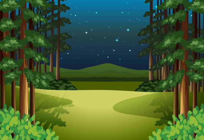 Un paisaje de bosque por la noche. vector