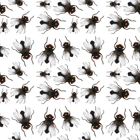 Seamless pattern of flys vector