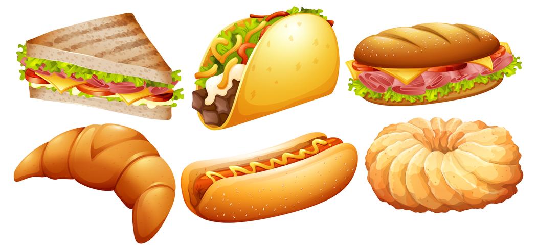 Different types of fastfood vector