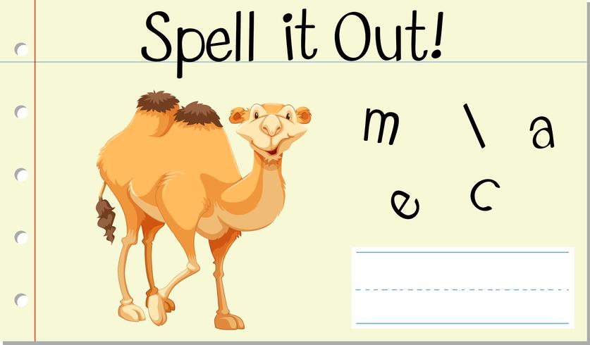 Spell English word camel vector