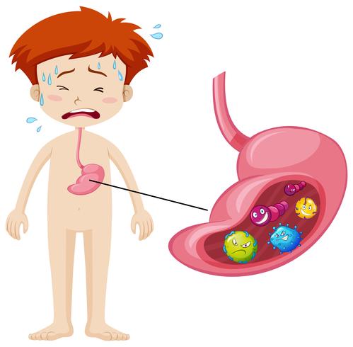Boy having bacteria in stomach vector