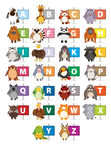 The Alphabet with different animals vector