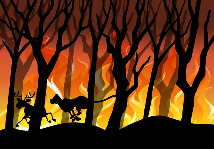 Silhouette wildfire forest background vector