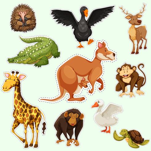 Sticker design with animals on green  vector