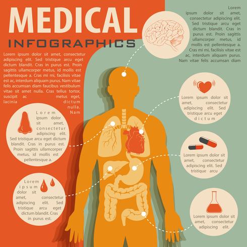 Medical infographic with human anatomy vector