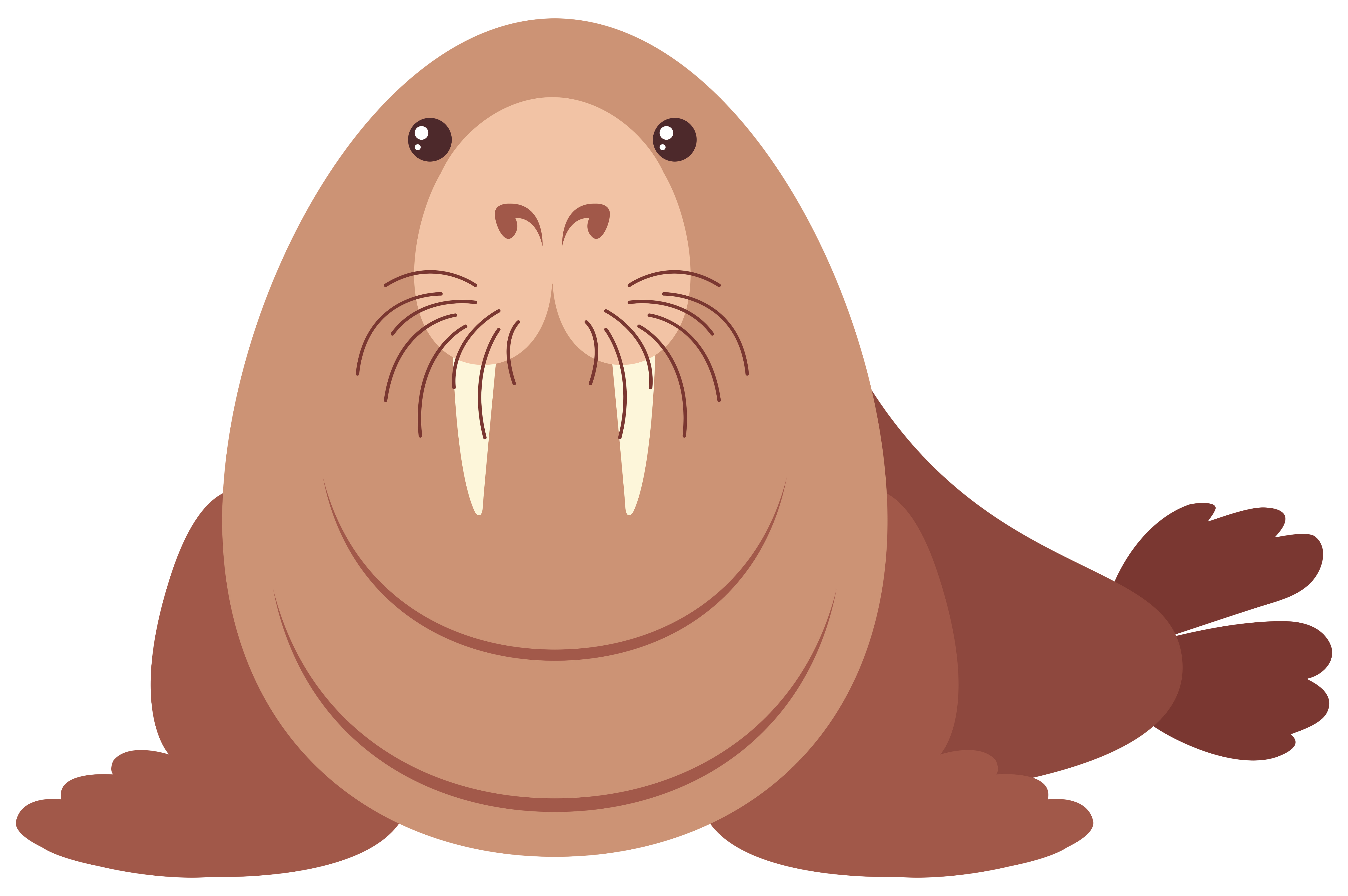 Walrus with happy face 298423 Vector Art at Vecteezy Walrus with happy face 298423 Vector Art at Vecteezy