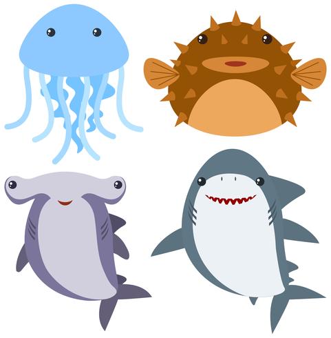 Sea animals on white background vector