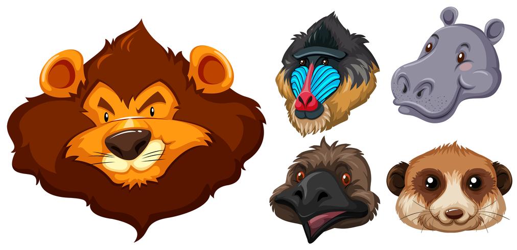 Animal heads on white background - Download Free Vector Art, Stock Graphics & Images