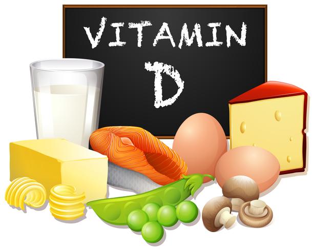 A Set of Food with Vitamin D vector