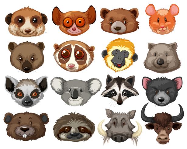 Set of animal heads vector