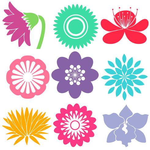 Nine floral templates vector