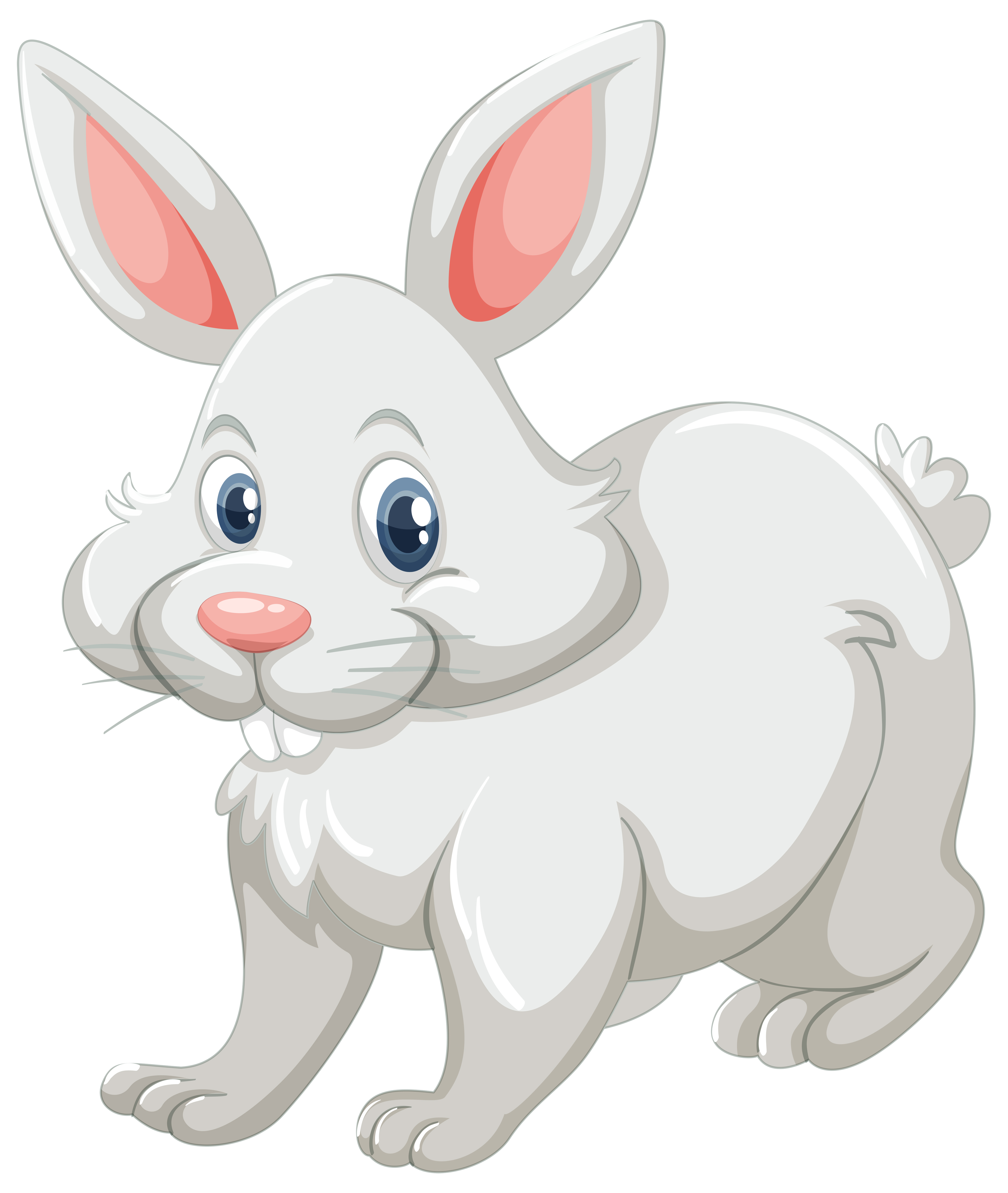 Download Cute rabbit with white fur - Download Free Vectors ...