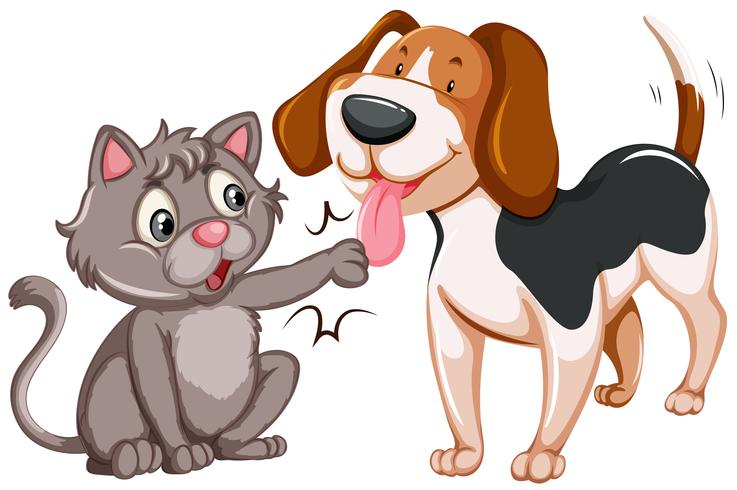 Friendly Cat and Dog on White Background vector