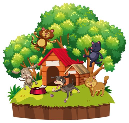 Perros y gatos en pethouse vector