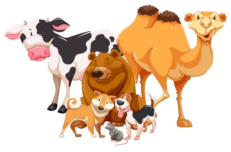 Animal - Download Free Vector Art, Stock Graphics & Images