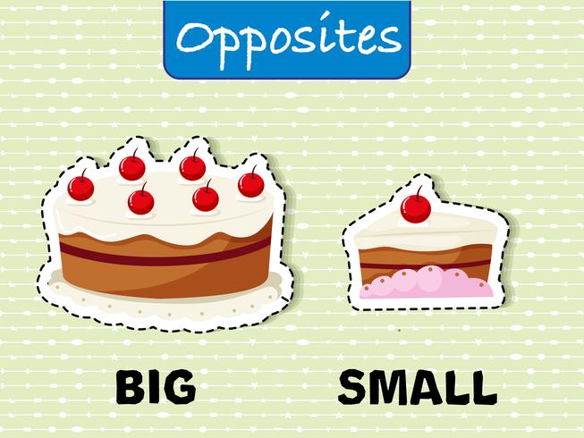 Opposite words for big and small vector