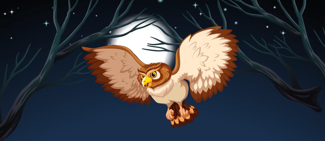 An owl hunting at night vector