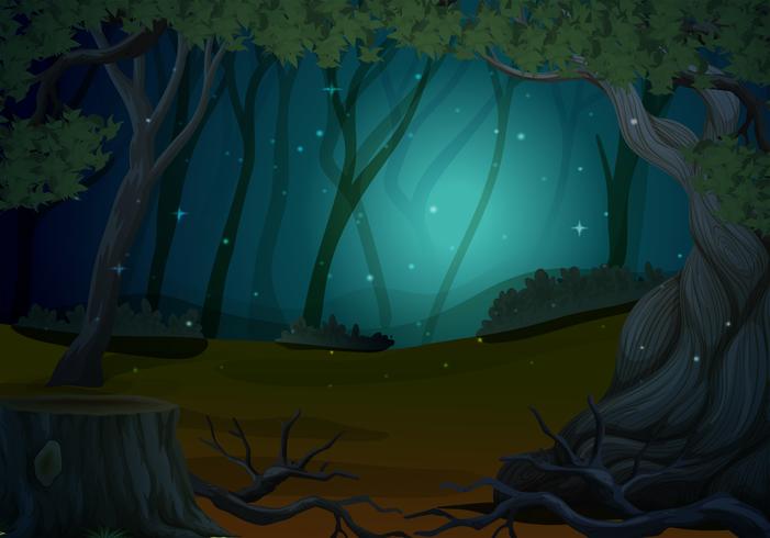 Escena con luciérnagas en el bosque por la noche vector