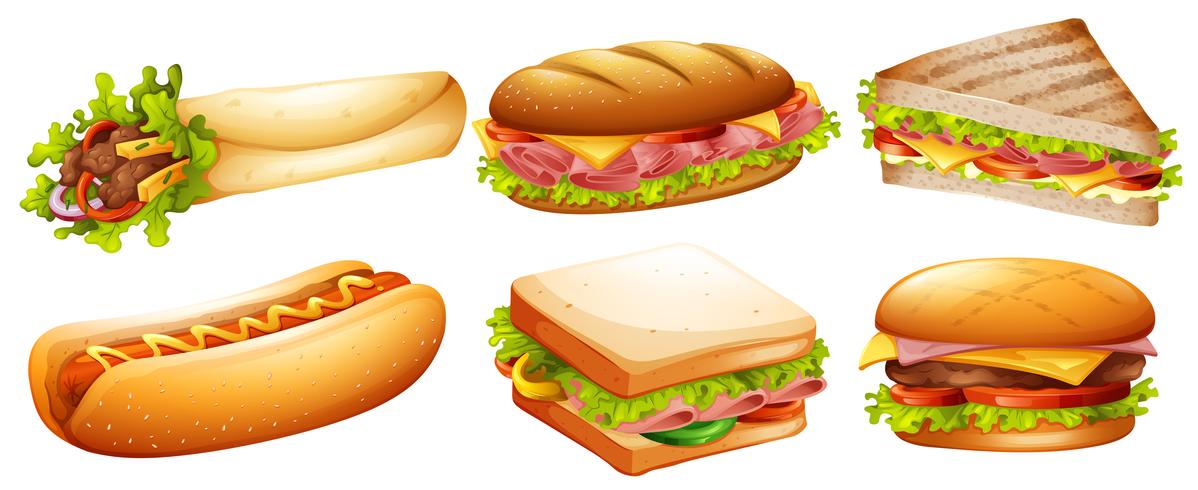 Different kind of fastfood vector