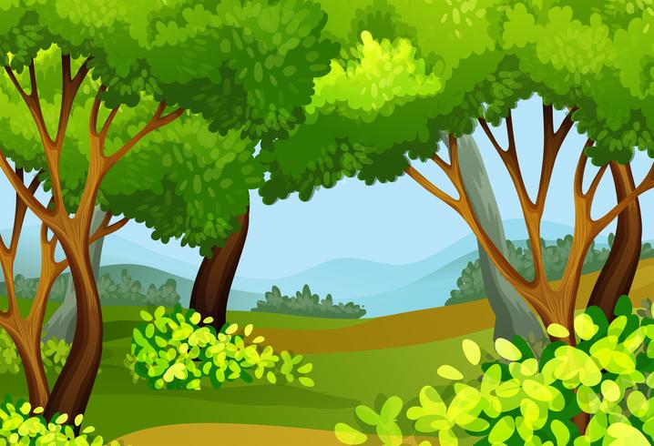 Forest scene with tall trees vector