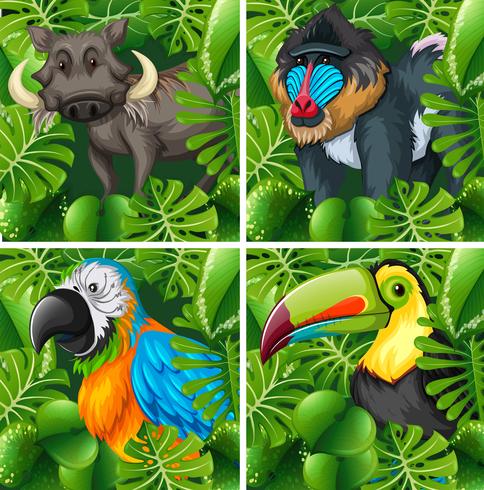 Wild animals in the safari vector