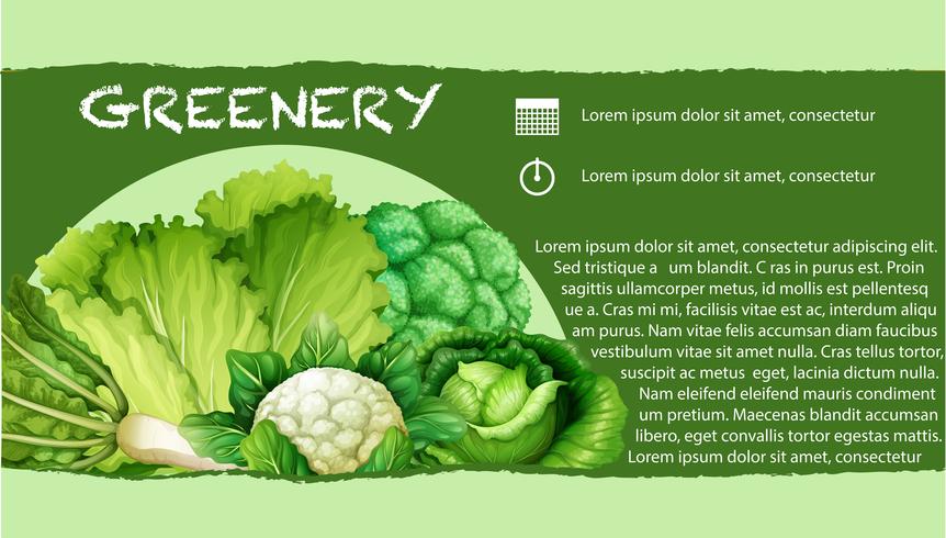 Verduras verdes con texto vector