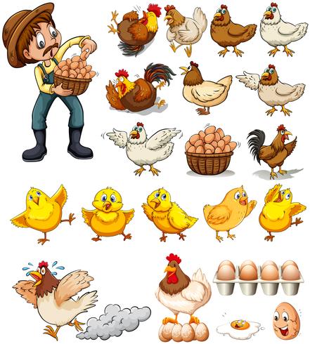 Farmer collecting eggs from chickens vector