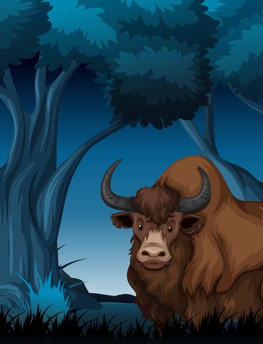 Yak en el bosque oscuro vector