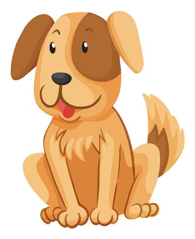 Little dog with brown fur vector