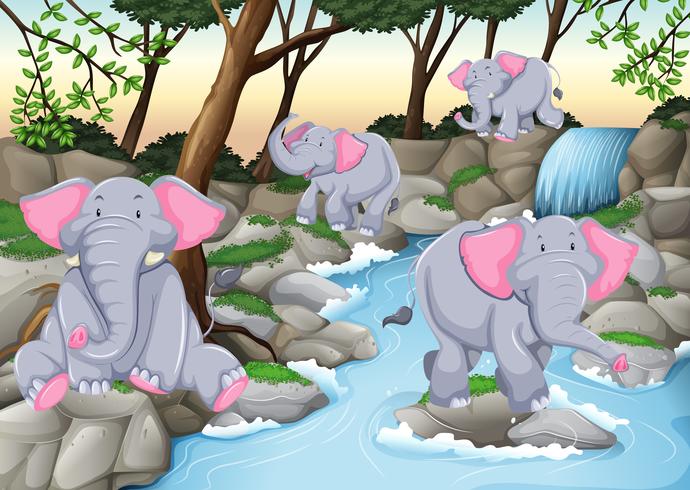 Four elephants at the waterfall vector