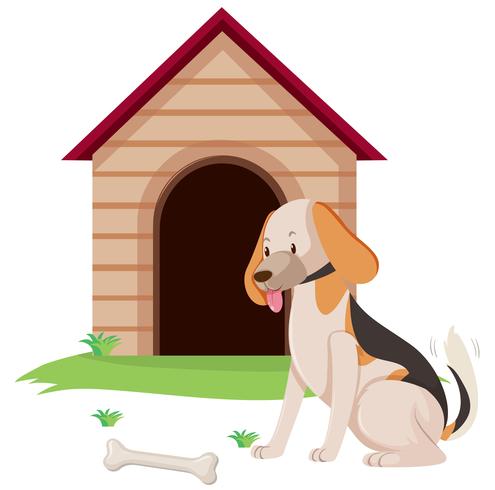 Dog pet with bone at doghouse vector