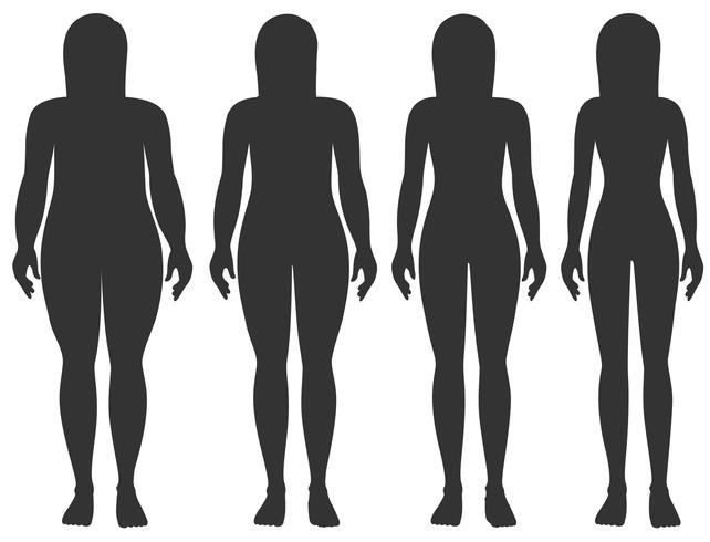 Stages of womans weight vector