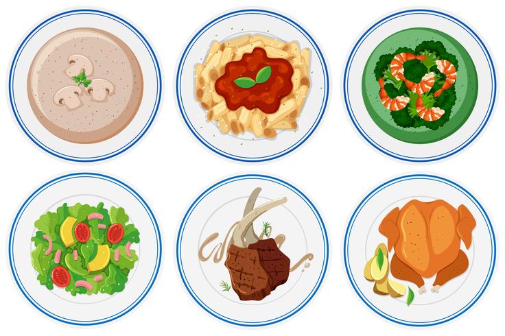 Different types of food on the dish vector