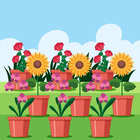 A Set of Flower in Pot vector