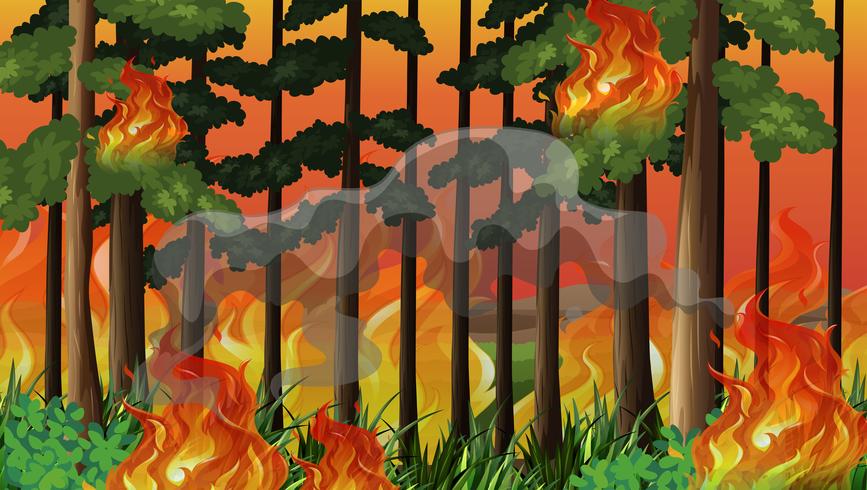 Un fondo de desastre de incendios forestales vector