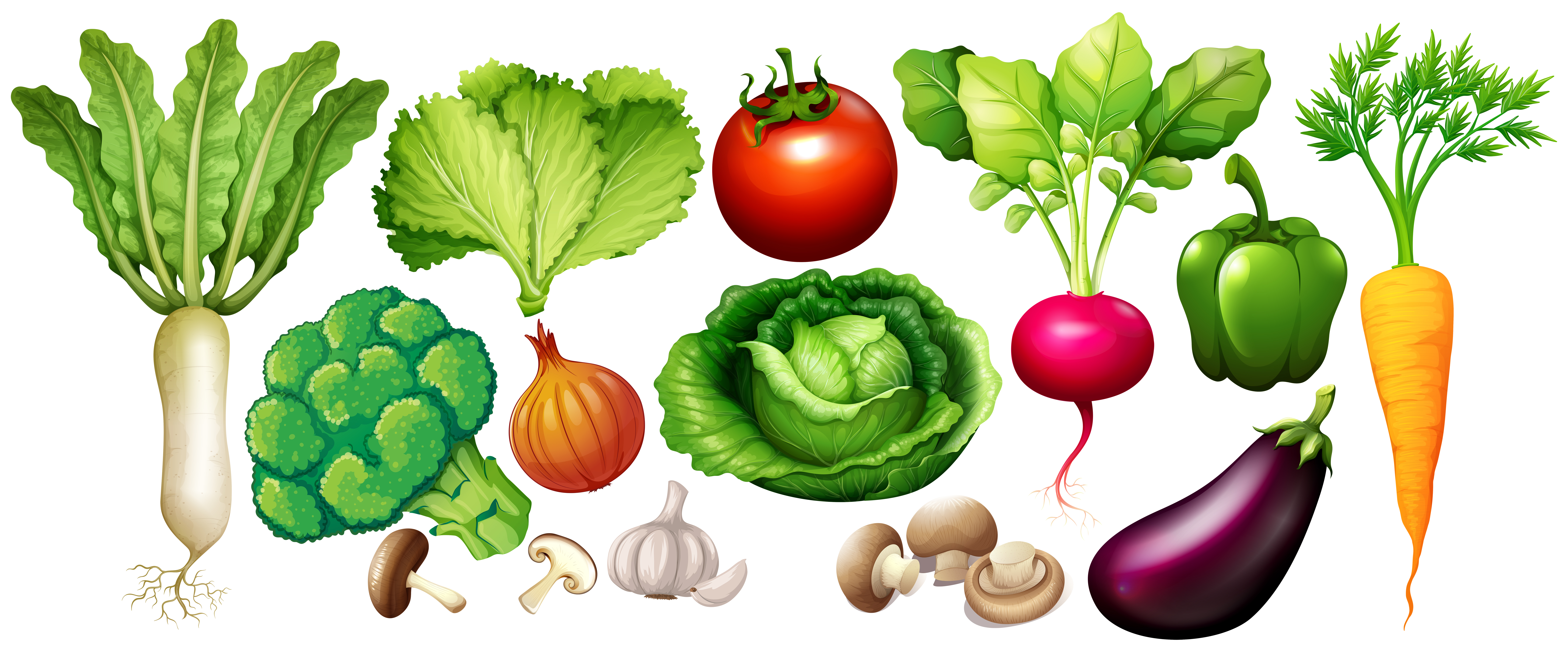Different types of vegetables - Download Free Vectors ...